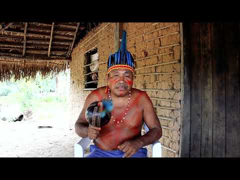 Nasci para cantar Brasiliana Museus