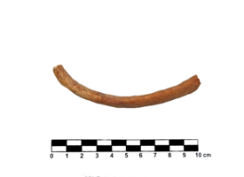 Imagem padrão
