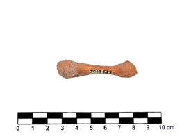 Imagem padrão
