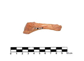 Imagem padrão