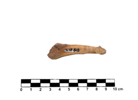 Imagem padrão
