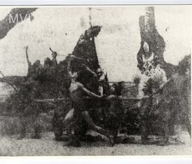 Imagem padrão