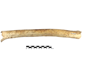 Imagem padrão