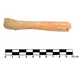 Imagem padrão