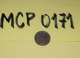 Imagem padrão