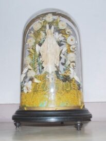 Imagem padrão